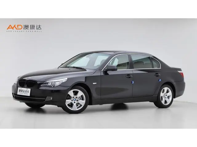BMW 5 Series 2009 520Li Leading Model