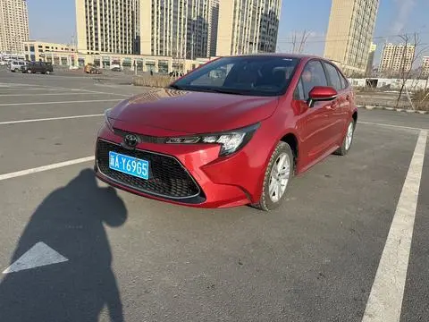 Ralink 2019 185T Deluxe Edition National VI