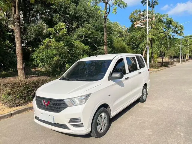 Wuling Hongguang 2021 1.5L S manual basic model
