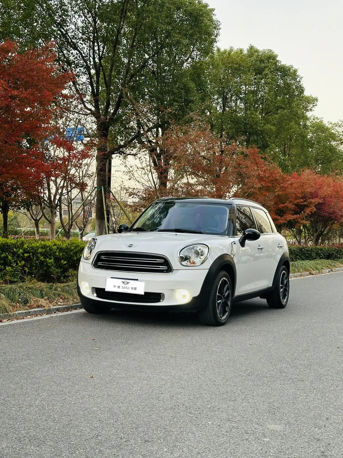 MINI COUNTRYMAN 2014 1.6L COOPER Excitement