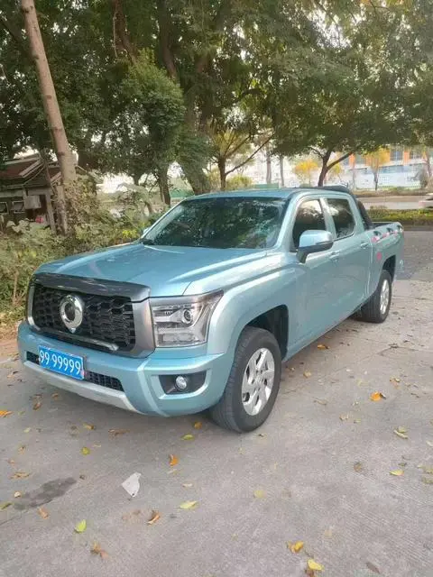 King Kong Cannon 2022 2.0T Diesel Manual Two-wheel Drive Entrepreneurial Long Box GW4D20M