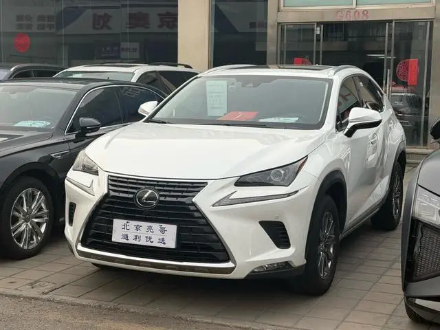 Lexus NX 2020 200 AWD Feng Shang Edition National V