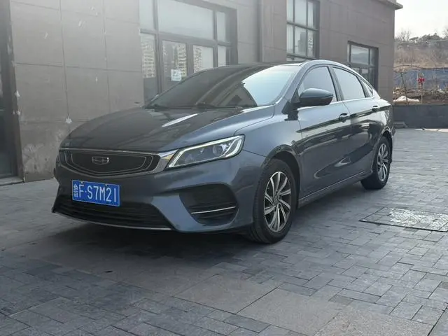 Binrui 2019 200T manual Binchi version