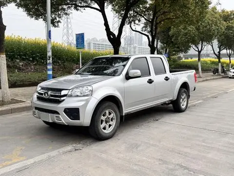 Fengjun 5 2021 2.0T diesel two-wheel drive elite large double-row national VI GW4D20M