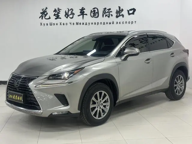 Lexus NX 2020 200 AWD Fengshang Edition National VI