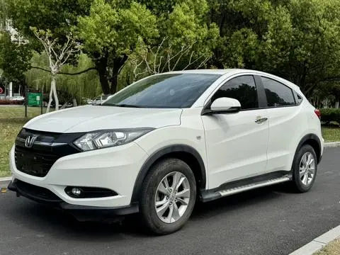 Binzhi 2019 1.5L CVT Pioneer Type National V