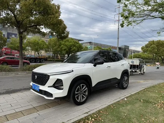 Baojun RS-3 2020 1.5T CVT intelligent premium model