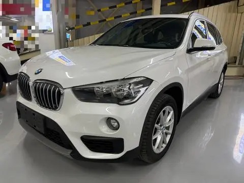 BMW X1 2019 sDrive18Li Fashion Model