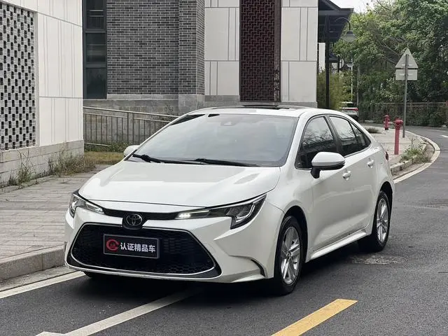 Ralink 2019 185T Deluxe Edition National VI