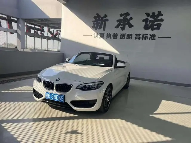 BMW 2 Series (Imported) 2018 220i Convertible Coupe Sports Design Package