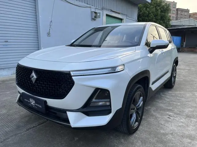 Baojun RS-5 2019 1.5T CVT Super Internet Trendy Edition National VI