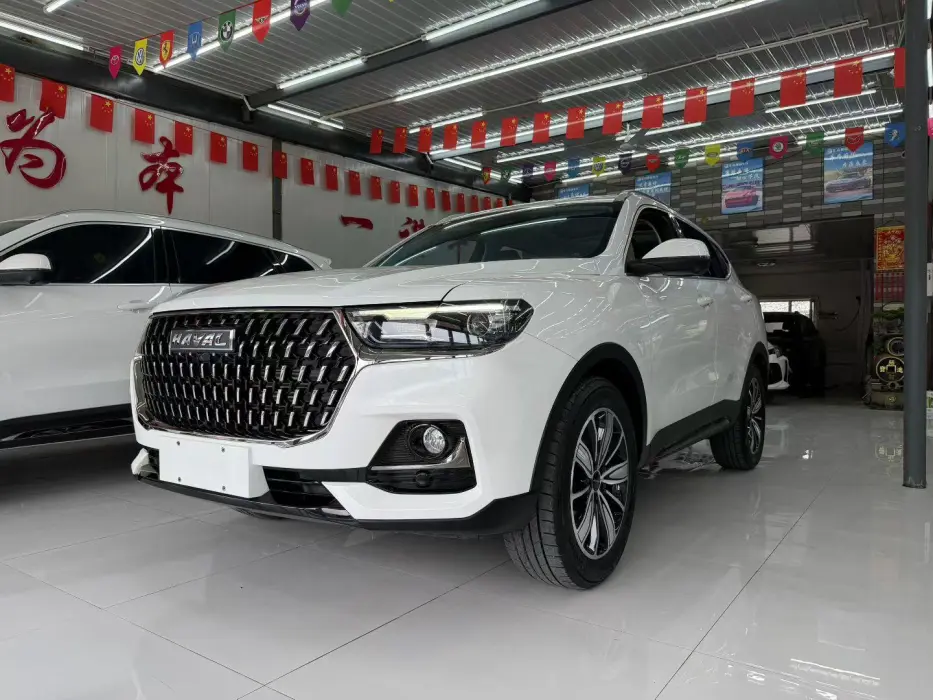 Haval H6 2023 National Fashion Edition 1.5T Automatic Champion Edition