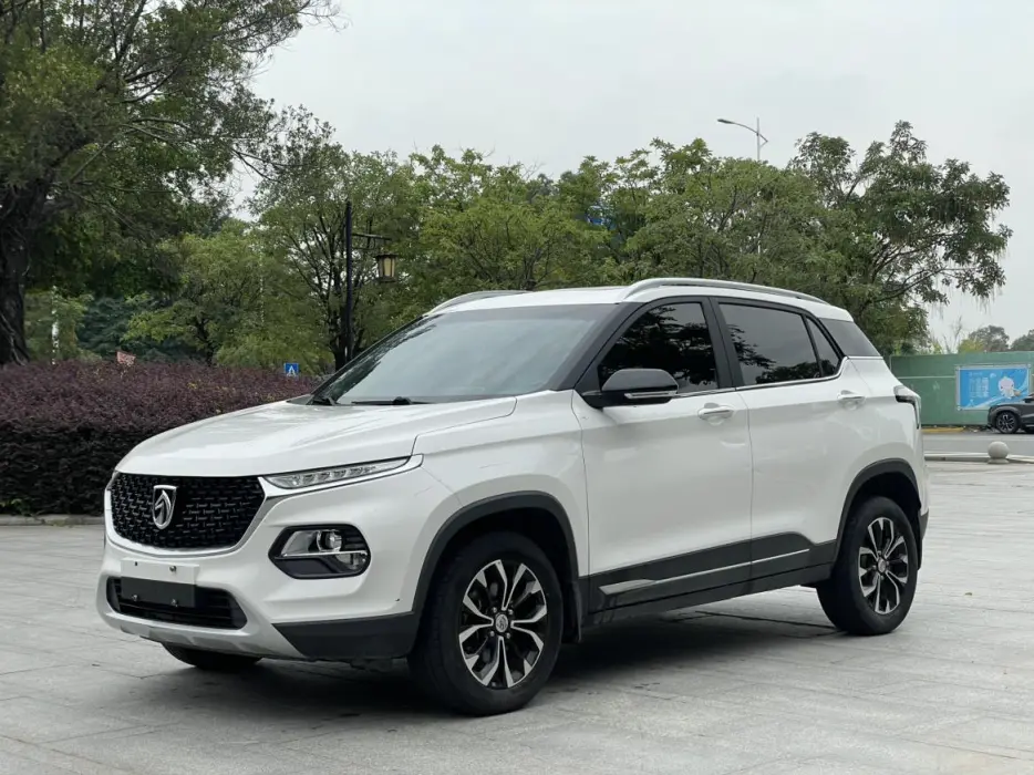 Baojun 510 2019 1.5L automatic exclusive model National V
