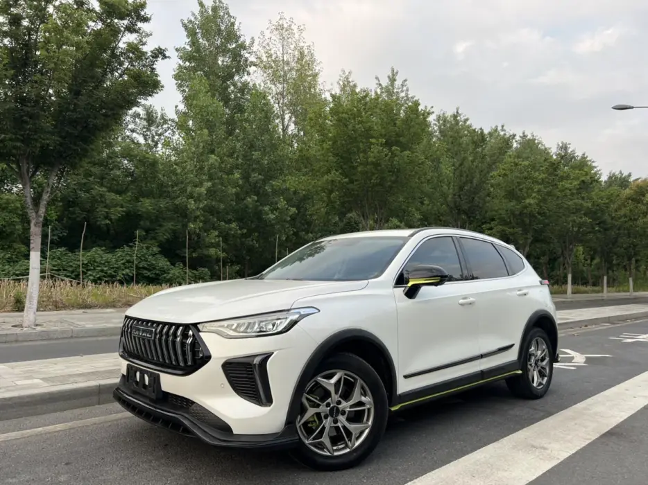 Haval Red Rabbit 2022 Exclusive Edition 1.5T Red Bronze Rabbit