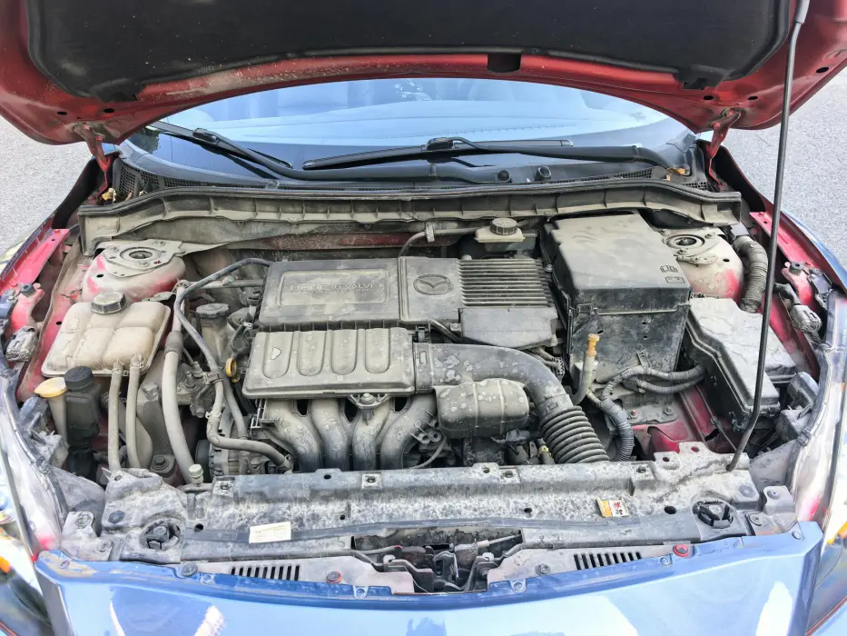 Фото 10