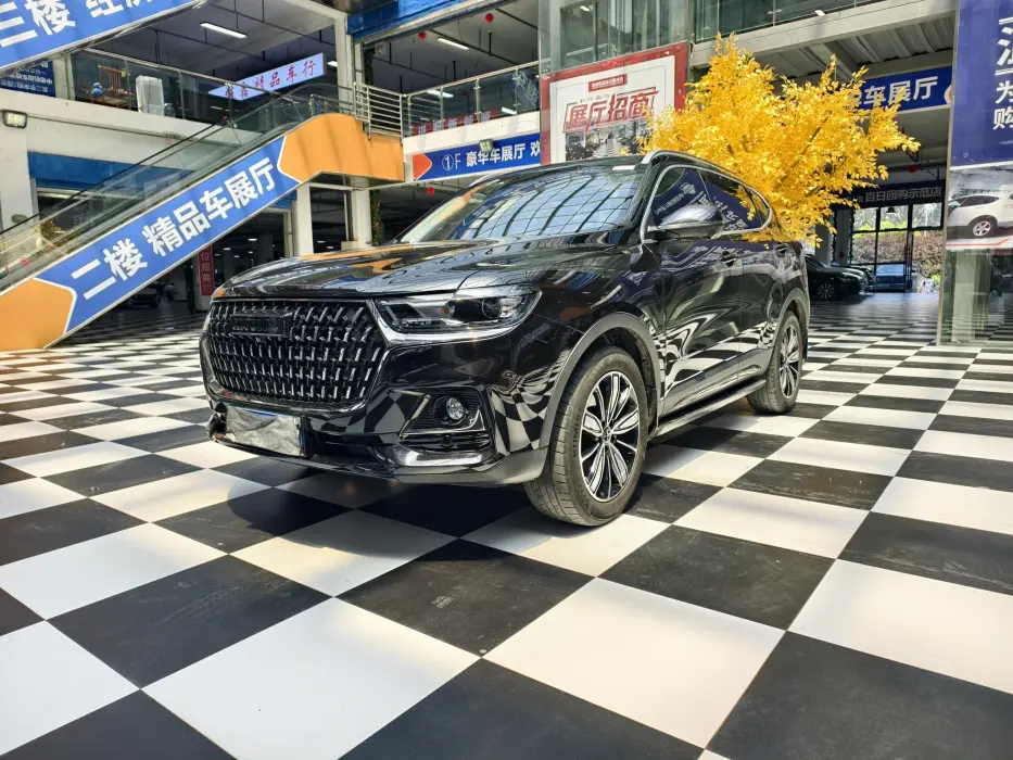 Haval H6 2023 National Fashion Edition 1.5T Automatic Champion Edition