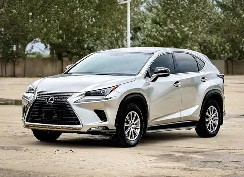 Lexus NX 2020 200 front-wheel drive version National V