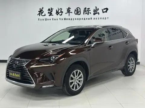 Lexus NX 2020 200 AWD Fengshang Edition National VI