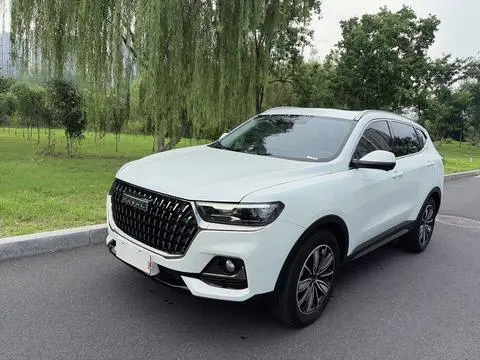 Haval H6 2023 National Fashion Edition 1.5T Automatic Champion Edition