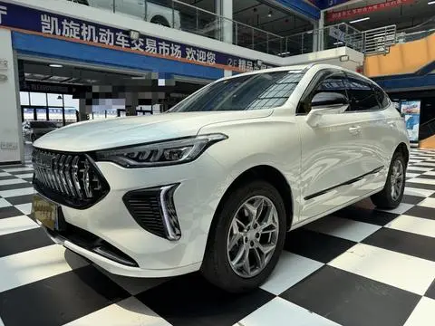 Haval Red Rabbit 2023 1.5T Excellent Model