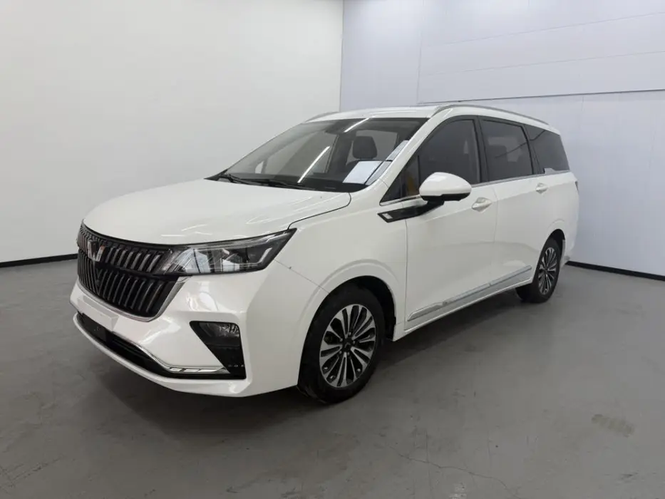 Wuling Jiachen 2022 1.5T CVT exclusive flagship model
