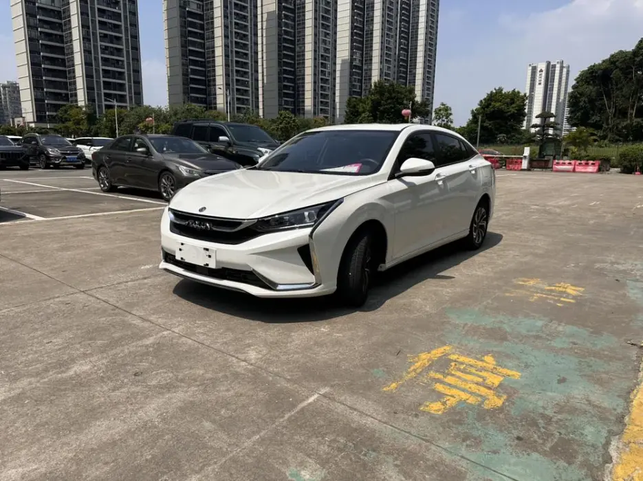 Yixuan 2022 230T automatic tiger roar version