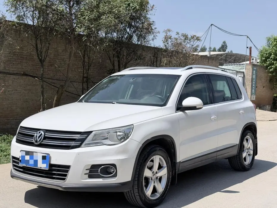 Tiguan 2010 1.8TSI automatic two-wheel drive elite version