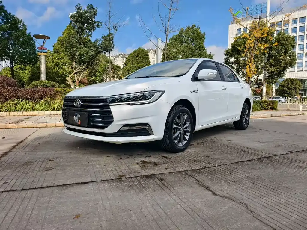 Qin 2019 1.5L manual luxury model