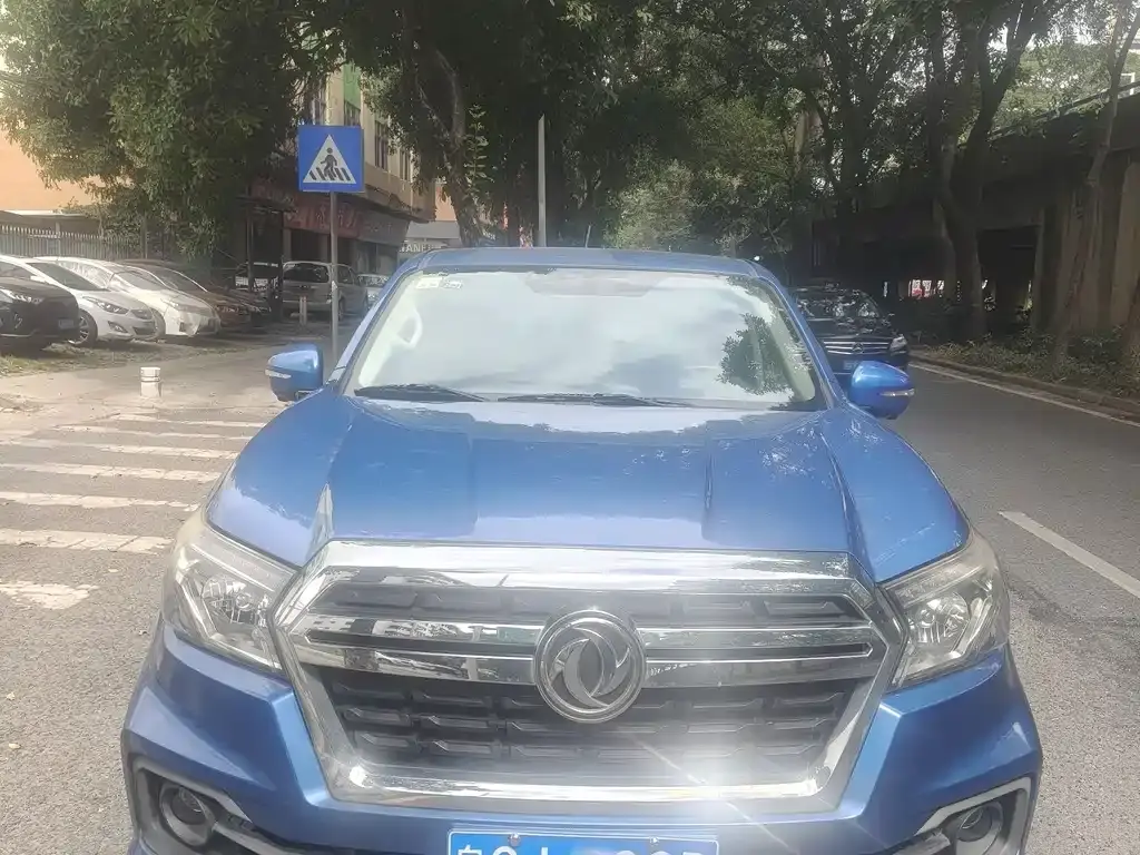 Ruiqi 2019 2.4L gasoline country VI two-wheel drive luxury standard box 2TZD