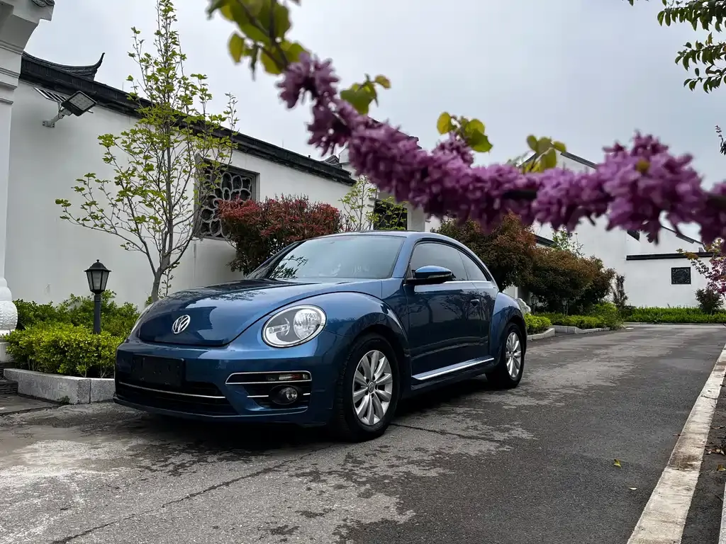 Beetle 2018 180TSI Yile type