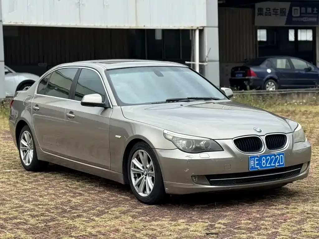 BMW 5 Series 2010 520Li Leading Model