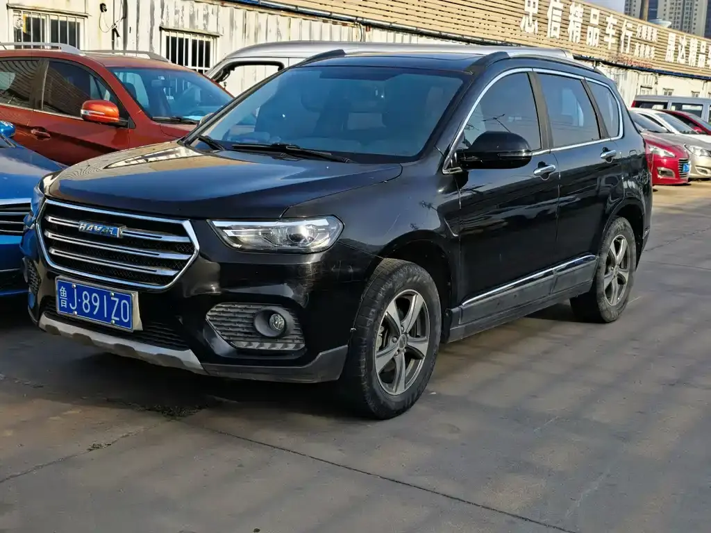 Haval H6 2017 Blue Label Sports Edition 1.5T Manual Two-wheel Drive Elite