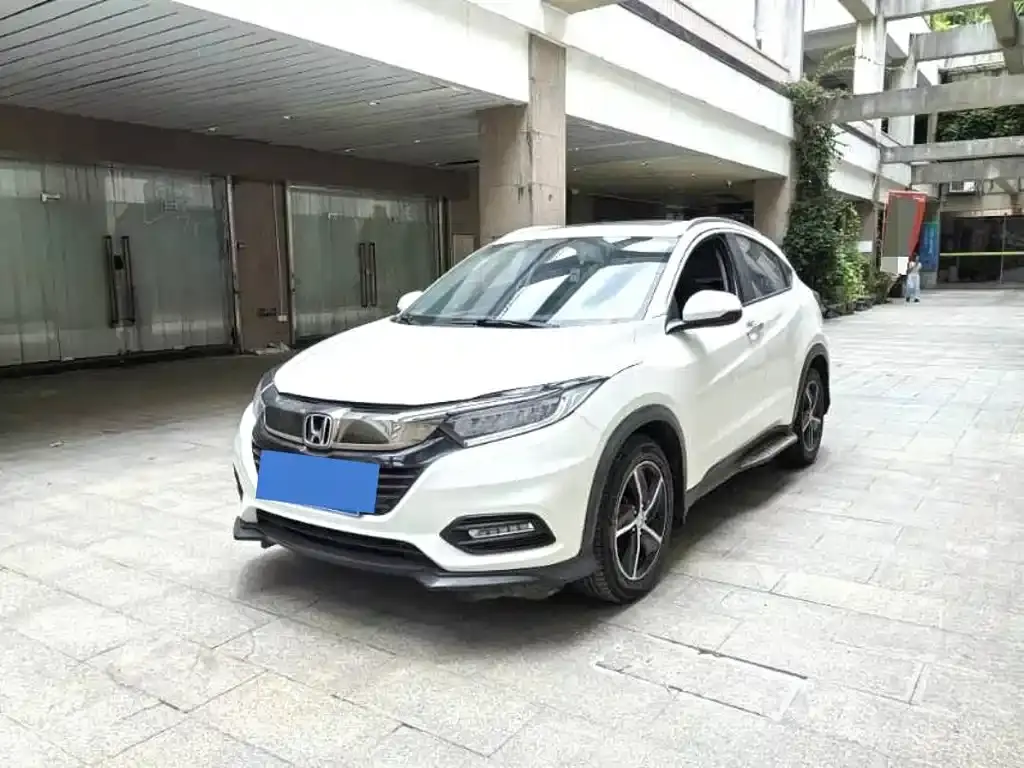 Binzhi 2019 1.5L CVT luxury model National V