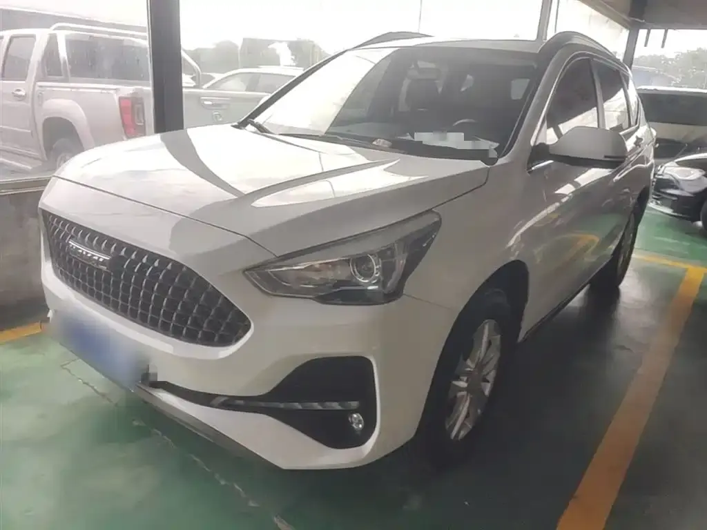 Haval M6 2019 1.5T DCT two-wheel drive elite model National VI