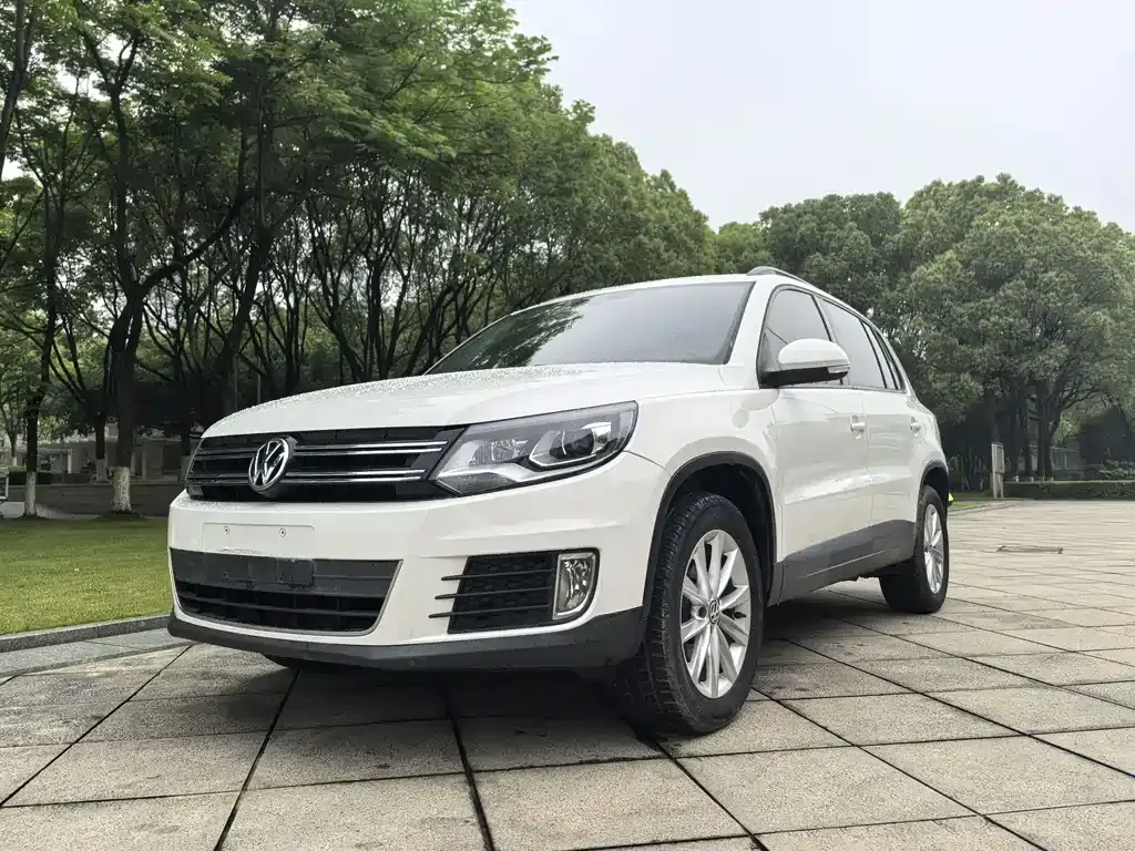 Tiguan 2017 300TSI automatic two-wheel drive Silk Road Comfort Edition