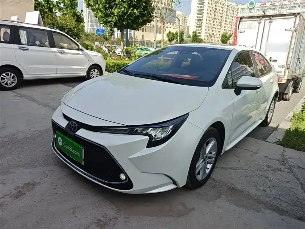 Ralink 2019 185T CVT Technology Edition National V