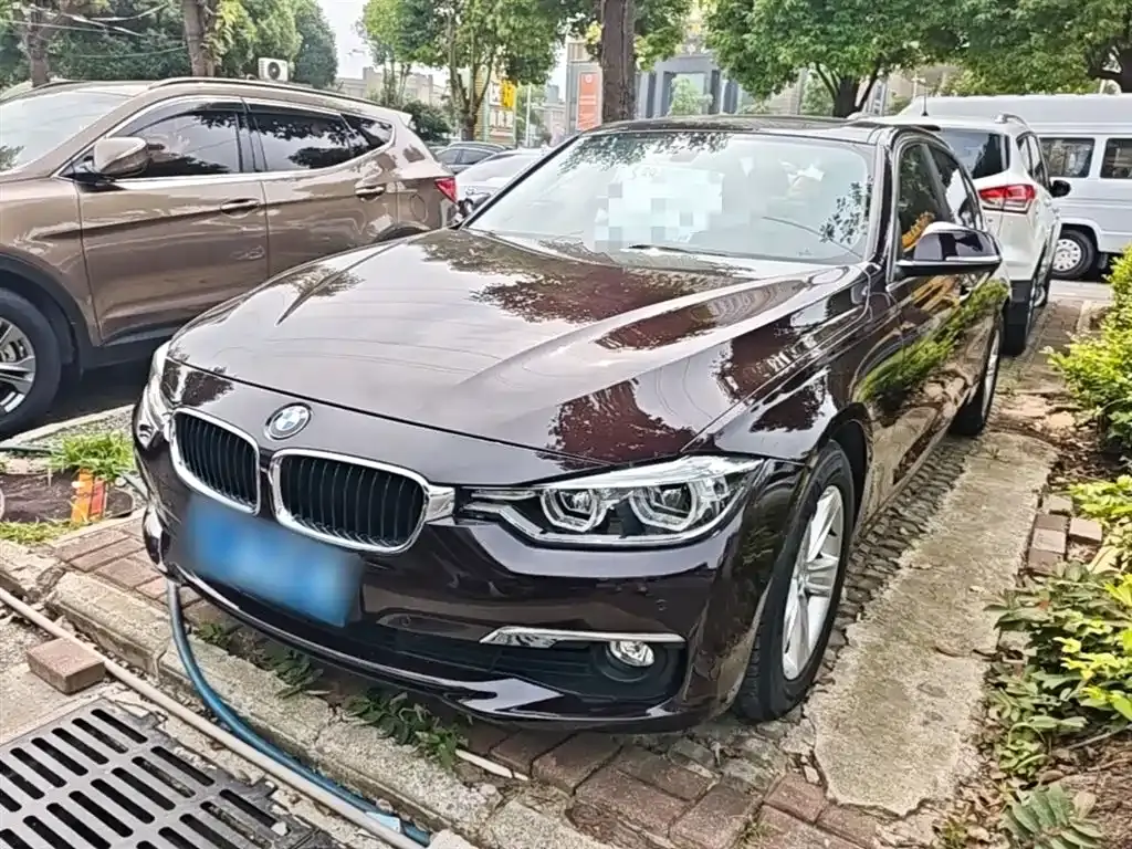 BMW 3 Series 2016 316Li Fashion Model