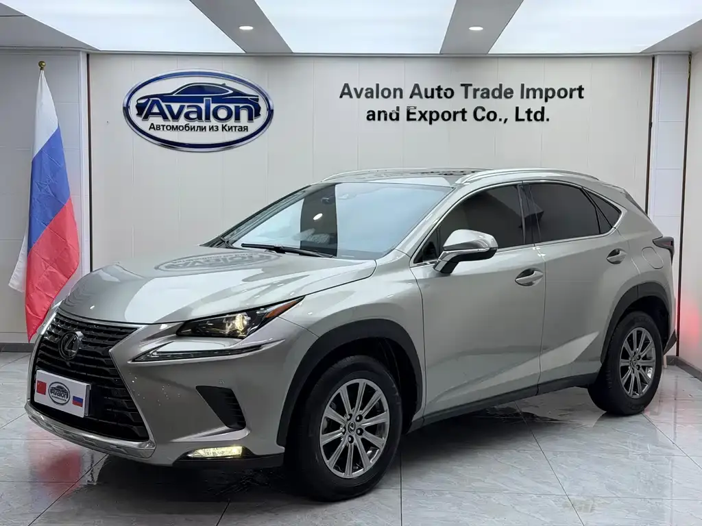 Lexus NX 2020 200 AWD Fengshang Edition National VI