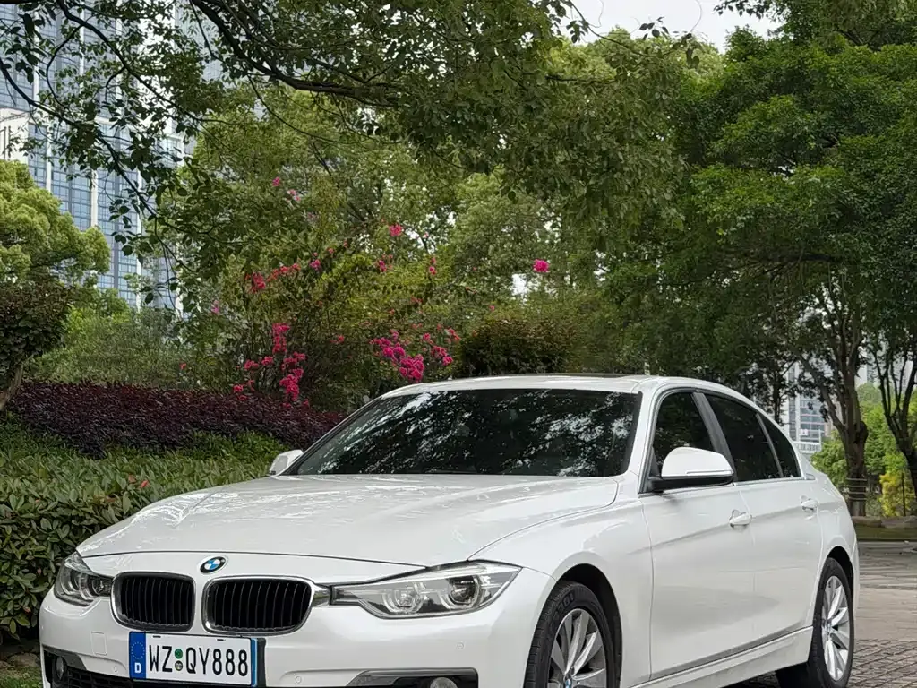 BMW 3 Series 2017 318Li Fashion Model