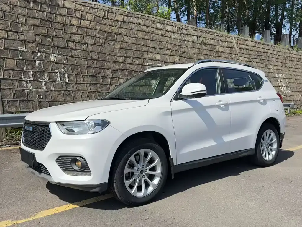 Haval H2 2017 Blue Label 1.5T automatic two-wheel drive luxury model