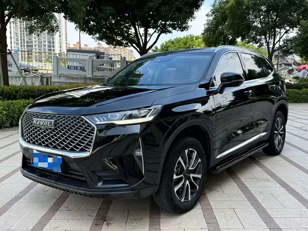 Haval H6 2023 National Fashion Edition 1.5T Automatic Champion Edition
