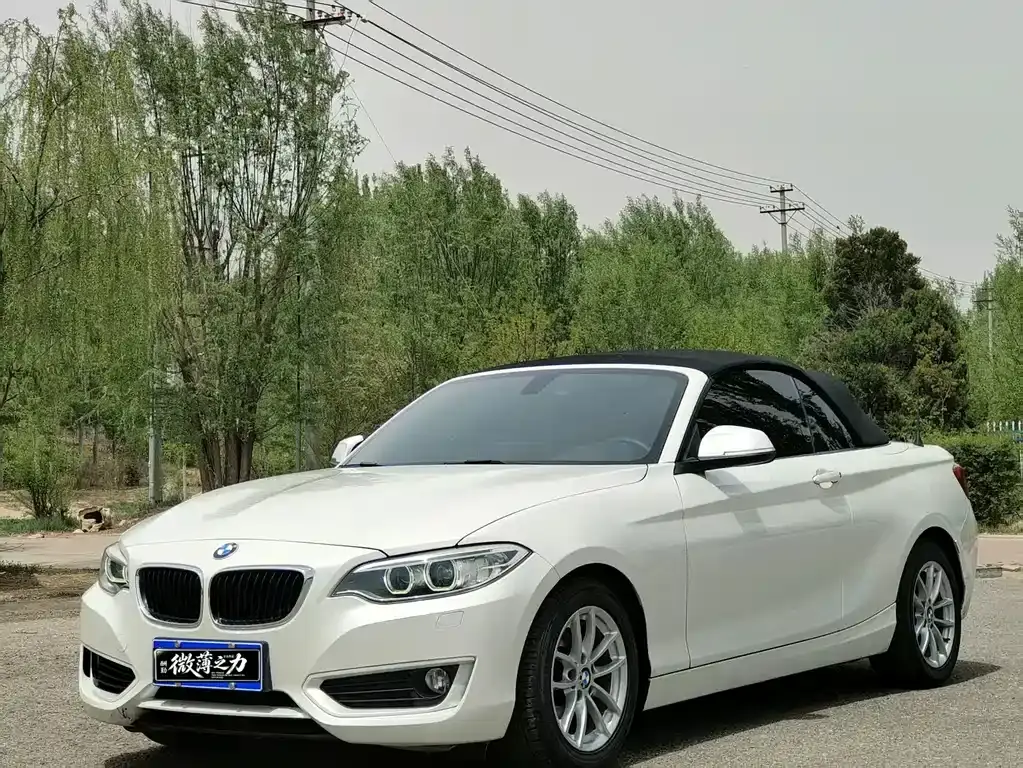 BMW 2 Series (Imported) 2015 218i Convertible Coupe
