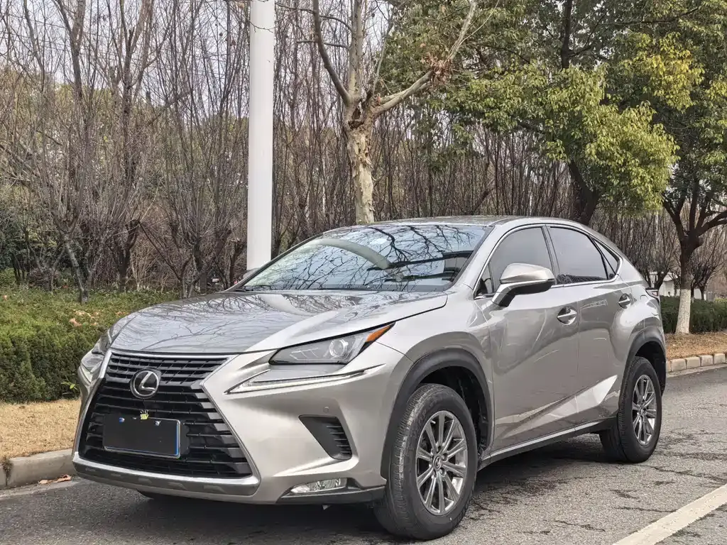 Lexus NX 2020 200 front wheel drive front version National VI