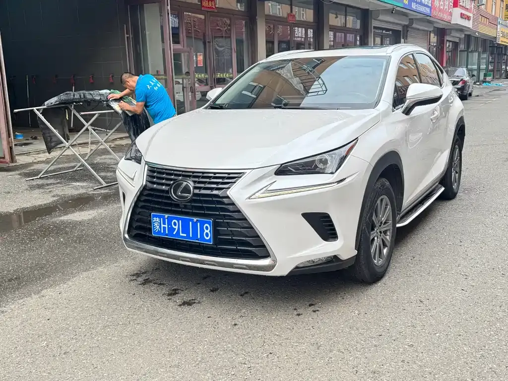 Lexus NX 2020 200 AWD Fengshang Edition National VI