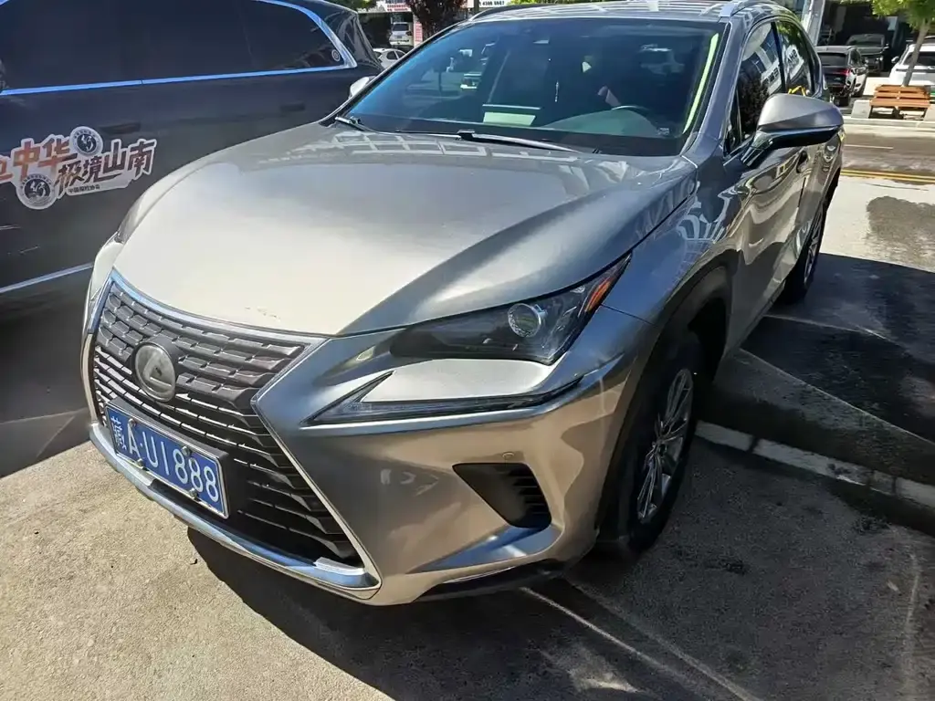 Lexus NX 2020 200 AWD Feng Shang Edition National V