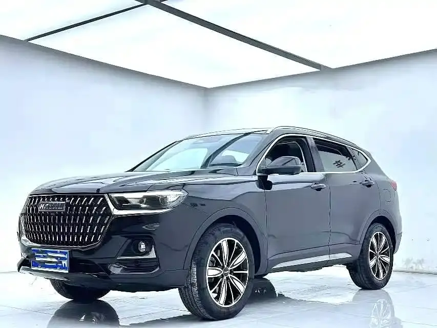 Haval H6 2023 National Fashion Edition 1.5T Automatic Champion Edition
