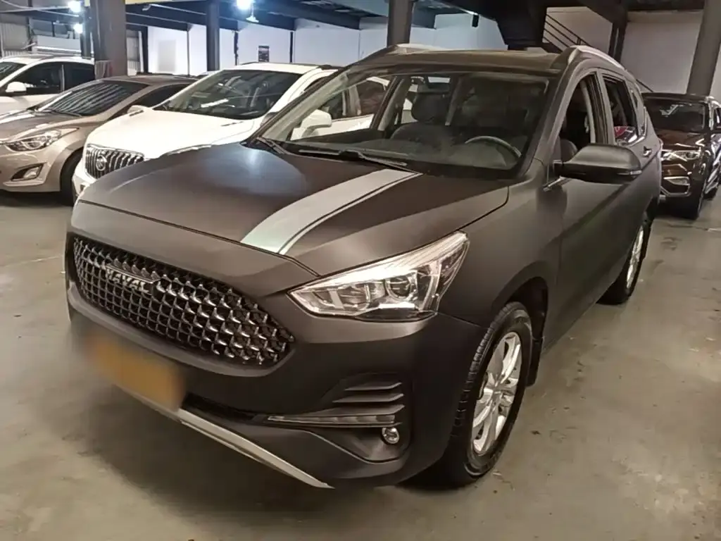 Haval M6 2019 1.5T DCT two-wheel drive elite model National VI