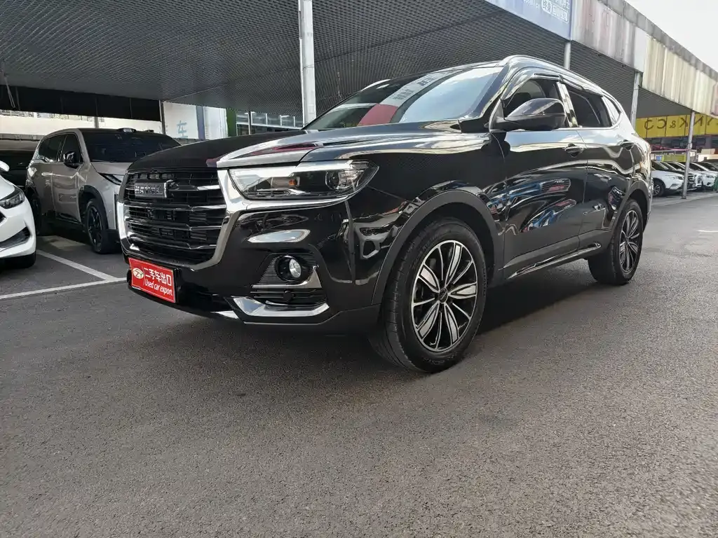 Haval H6 2023 National Fashion Edition 1.5T Automatic Champion Edition