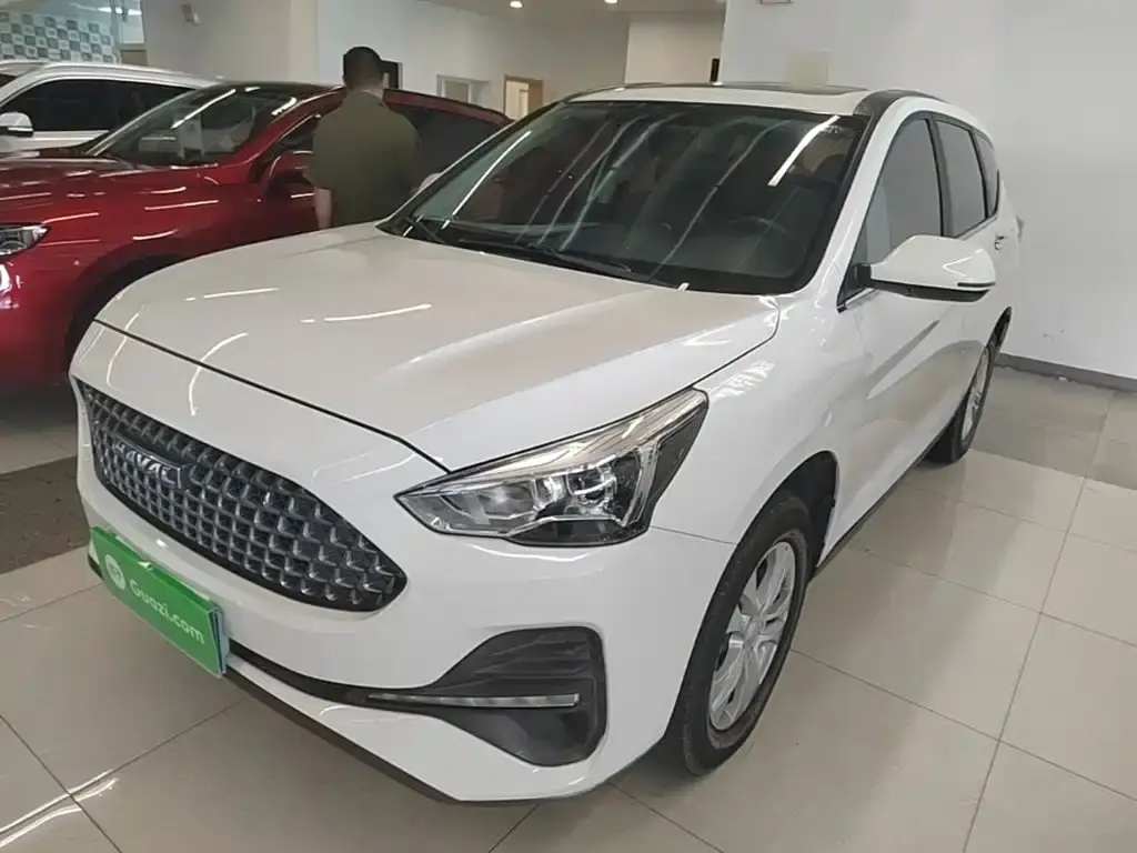 Haval M6 2019 1.5T DCT two-wheel drive value version National VI