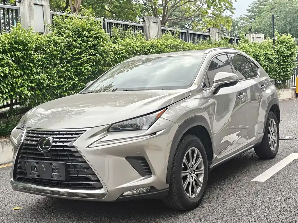 Lexus NX 2018 200 AWD Fengshang Edition National V